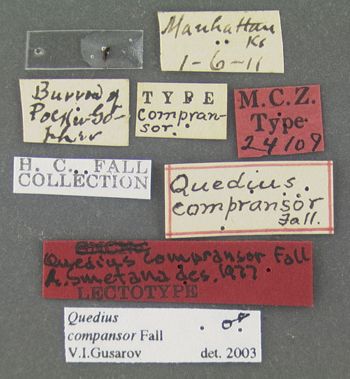 Media type: image;   Entomology 24109 Aspect: labels